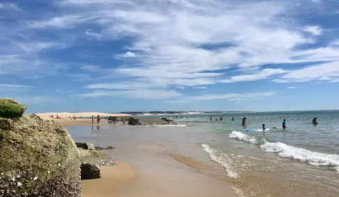 Journée mondiale de l’océan