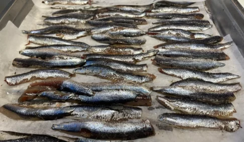 La Cuisine et les Tapas de la Guinguette