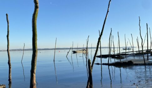 Journée internationale du zéro déchet