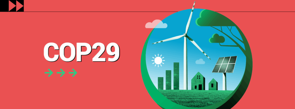 COP 29 ©ONU