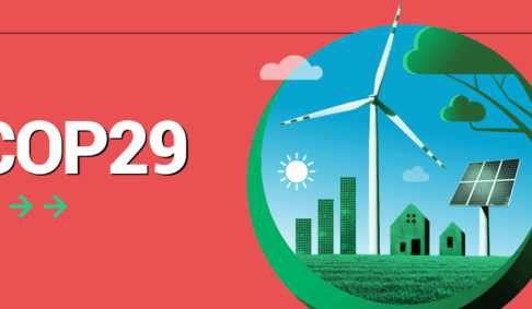 COP 29 – L’occasion de parler des engagements de Kaze Océan !