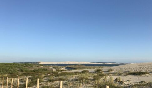 Les plages océanes du Cap Ferret